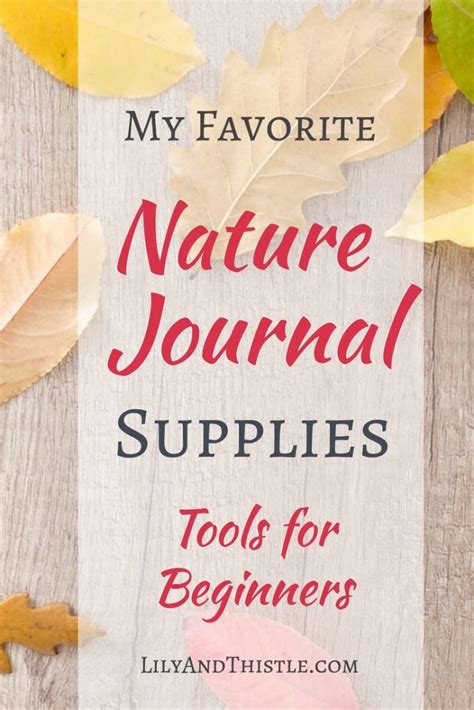 Nature Journaling Supplies - Lily & Thistle