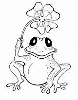 Frog Coloring Pages Printable sketch template