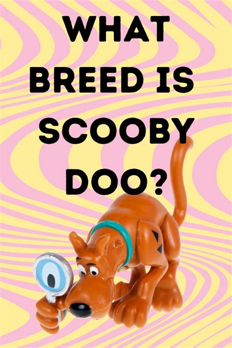 What Breed of Canine Is Scooby-Doo? - animalonly.com