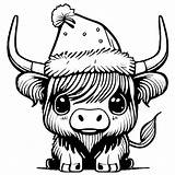 Printable Highland Cow Colouring Page  Free Templates sketch template