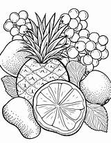 40 Fruit Coloring Pages Free Printable Sheets  coloring pages sketch template