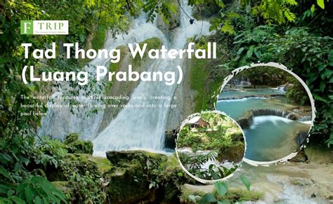 waterfalls-in-laos-Tad-Thong-Waterfall - FTrip Vietnam | Tours, Travel ...