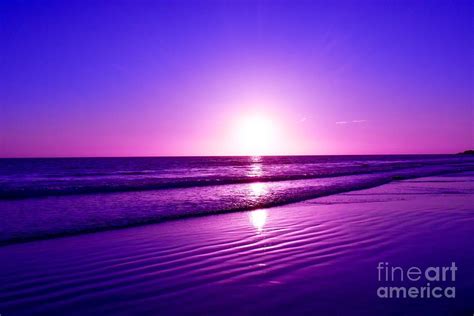 Majestic purple sunset Photograph by Rachelle Celebrity Artist - Fine ...