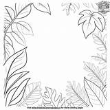 Lush Jungle Canopy Coloring Pages sketch template