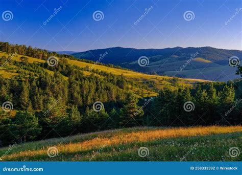 Aerial View of a Beautiful Forest Near Zlatibor Mountain, Serbia Stock ...