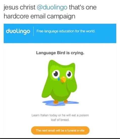 Found on Bing from www.memedroid.com | Duolingo memes, Random memes, Funny memes