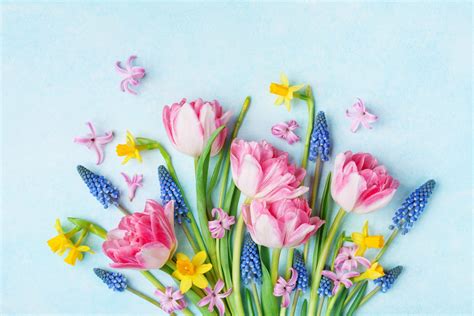 Spring Celebrations Around the World | Reader's Digest