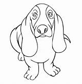 Basset Hound Coloring Pages  Best For Kids sketch template