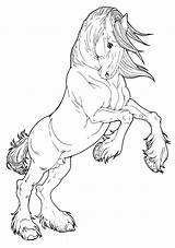 Coloring Pages Of Horses Rearing At GetColoringscom  Free Printable sketch template