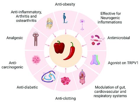 Health benefits of capsaicin. Health benefits of capsaicin. | Download ...