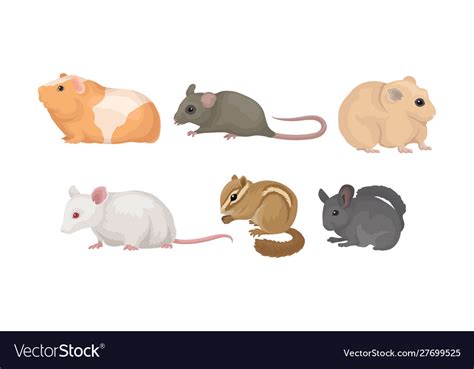 Small gnawing animals set isolated on white Vector Image