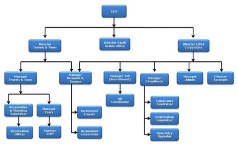 What is the Hierarchy of a Business?