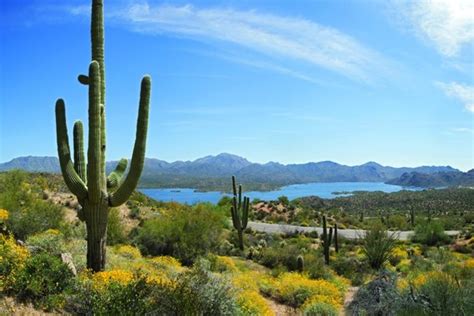 Best Scottsdale Attractions and Activities: Top 10Best Attraction Reviews