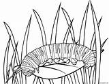 Printable Caterpillar Coloring Pages For Kids sketch template