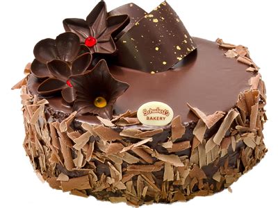 Cake PNG image