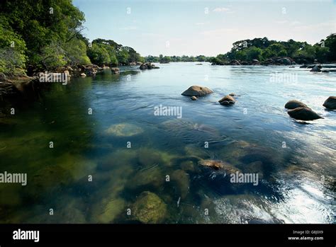 Kafue River rapids, Kafue National Park, Lusaka Province, Zambia Stock ...