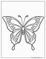 62 Butterfly Coloring Pages Free PDF Printables sketch template