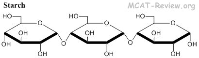 Carbohydrates — Mathwizurd