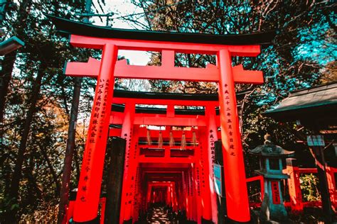 Free stock photo of japan, japanese culture, red