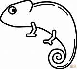 Chameleon coloring Page  Free Printable Coloring Pages sketch template