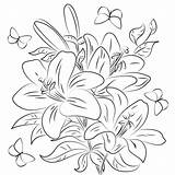 Lilies Coloring Pages Printable For Free Download sketch template