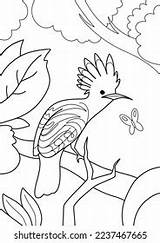 A4 Childrens Coloring Page Hoopoe Sitting Stock Illustration 2237467665  sketch template