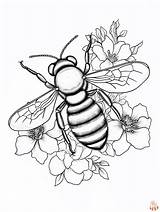 Bee Coloring Pages sketch template