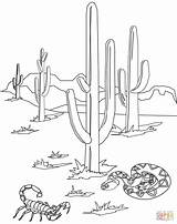 Desert Animals coloring page  Free Printable Coloring Pages sketch template