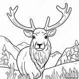 Elk With Antlers Coloring Page  Pagescom sketch template