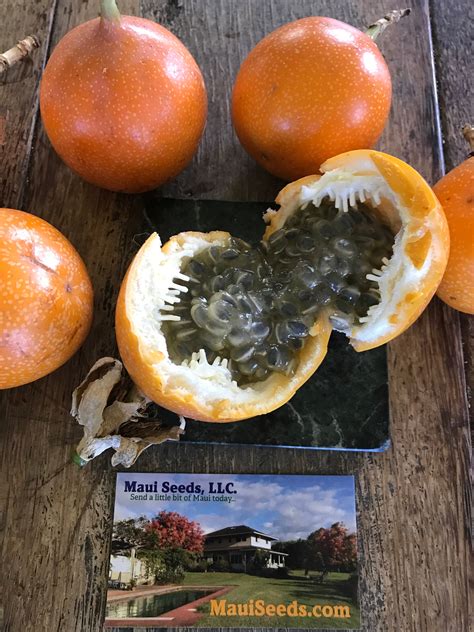 Granadilla/Granadilla Seeds/Maui Seeds/Passiflora | Etsy