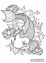 Fish Coloring Pages Koi sketch template