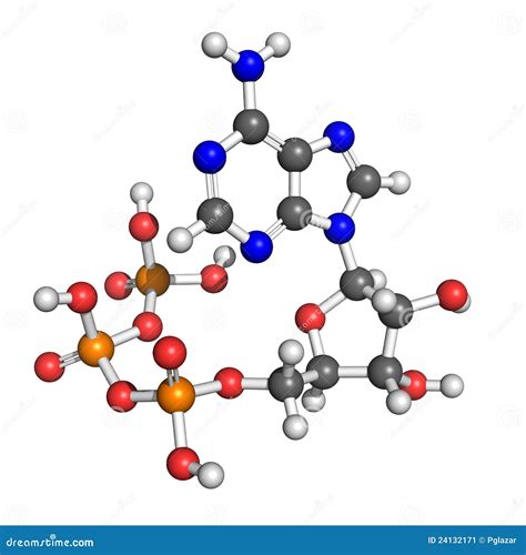 Adenosine Triphosphate Structure Stock Image - Image: 24132171