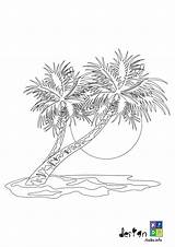 Coloring Pages Of Palm Trees sketch template