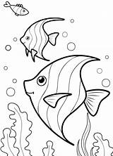Beautiful aquarium fish coloring Page  Free And Printable sketch template
