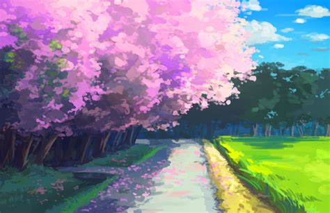 Anime Cherry Blossom Wallpaper 4k Blossom Cherry Wall - vrogue.co