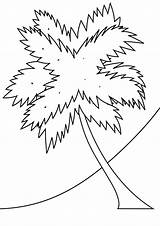 Palm Tree On A Beach coloring page  ColouringPages sketch template