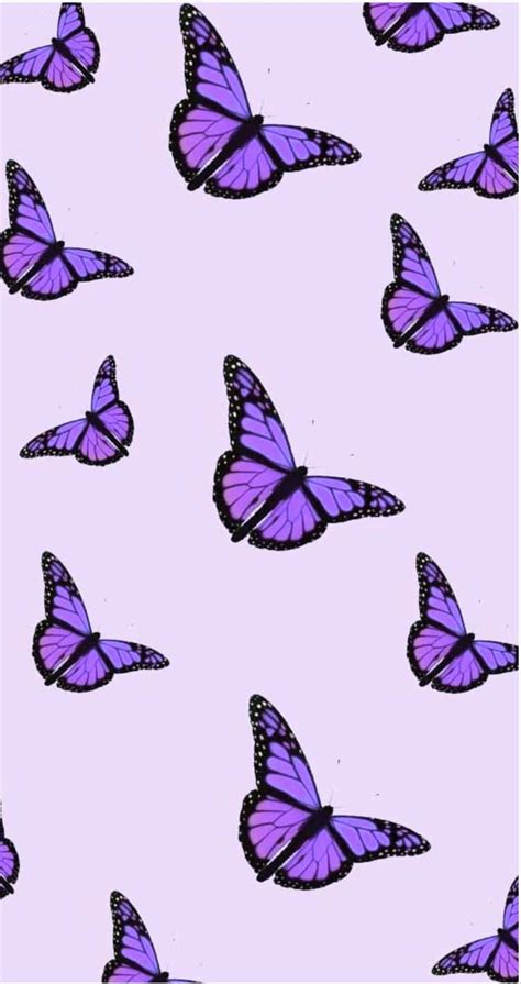 Download Get lost in nature with purple butterfly iPhone Wallpaper Wallpaper | Wallpapers.com