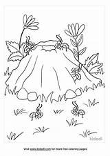 Ant Hill Coloring Page Free Bugs  Home sketch template