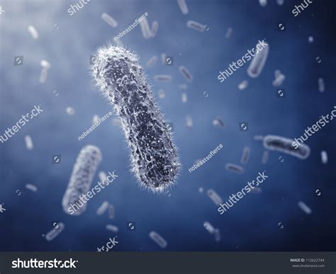 Rod-Shaped Bacteria ,Detailed Illustration - 112622744 : Shutterstock