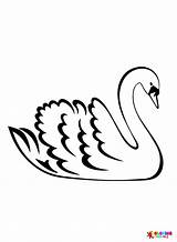 30  Swan Coloring Pages Free Printable PDF & Online sketch template