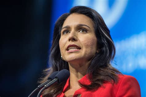 Newt Gingrich: Tulsi Gabbard’s Departure Is Bad News for Democrats ...