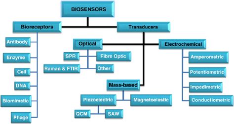 Classifications of biosensor. | Download Scientific Diagram