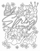 Spring Coloring Page For Adult Stock Illustration  Of sketch template