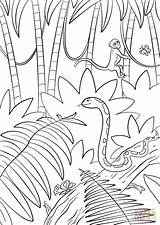 African Jungle Coloring Pages Coloring sketch template