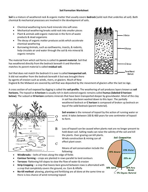 Soil Formation Worksheet - Both chemical & mechanical processes are involved in the development ...