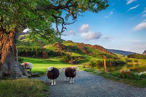 Lake District National Park, UK - WorldAtlas