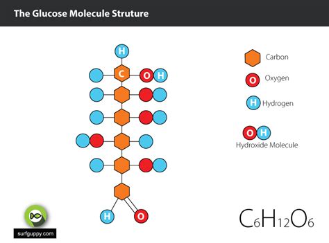 Linear Glucose Molecule