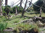 Wellington Zoo - Wikimedia Commons