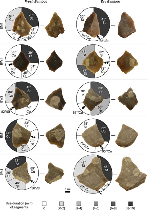 Stone tools used during the experiment. Arrows indicate the flake butt ...