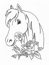 Horse And Roses coloring Page For Kids Flower Pages  sketch template